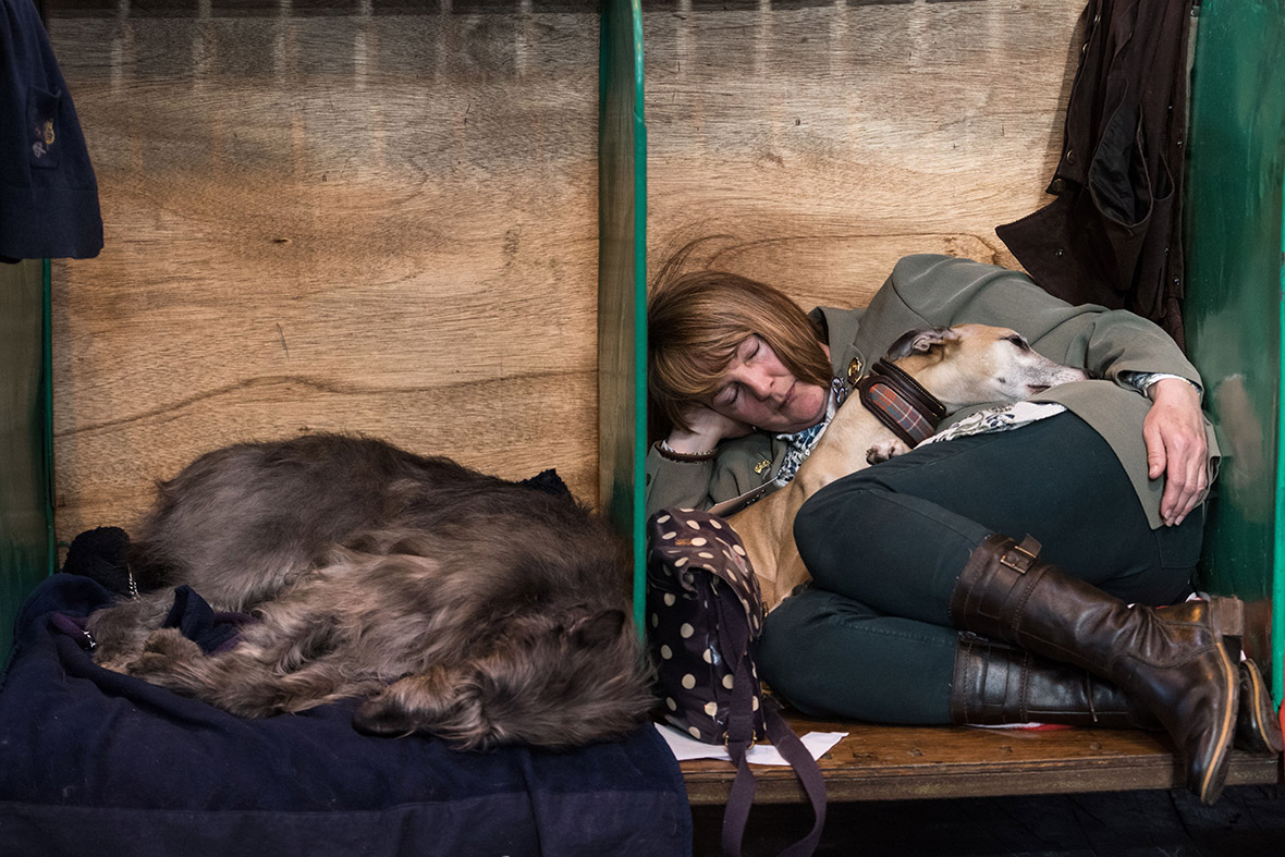 Crufts Crufts