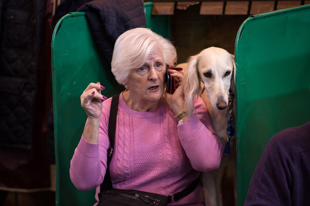 Crufts Crufts